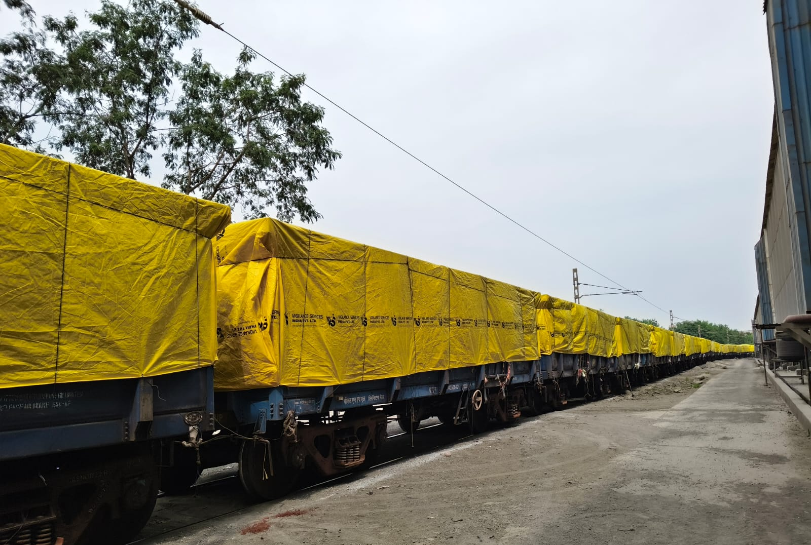 Tarpaulin Covering Project